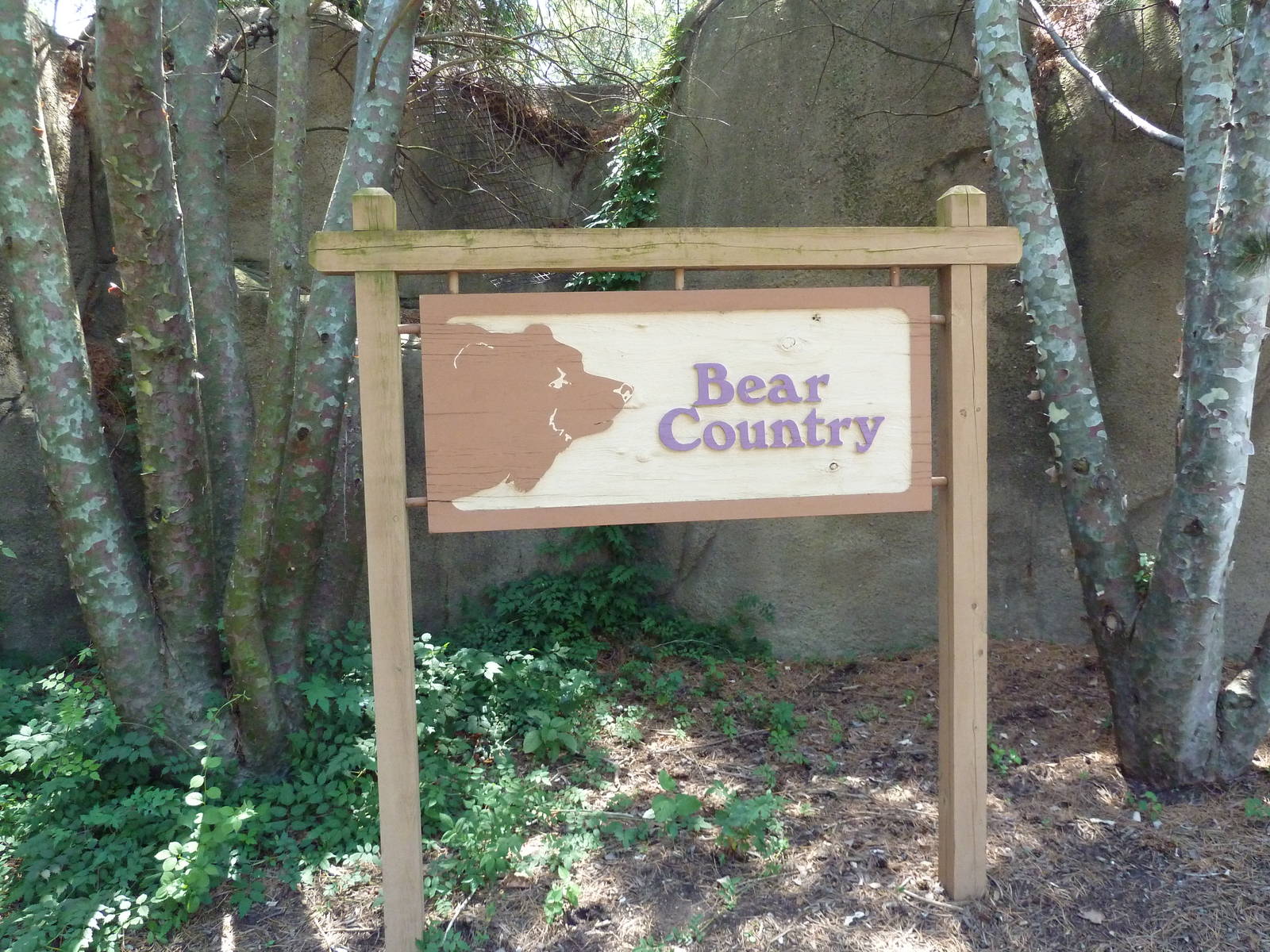 Bear Country - Sign