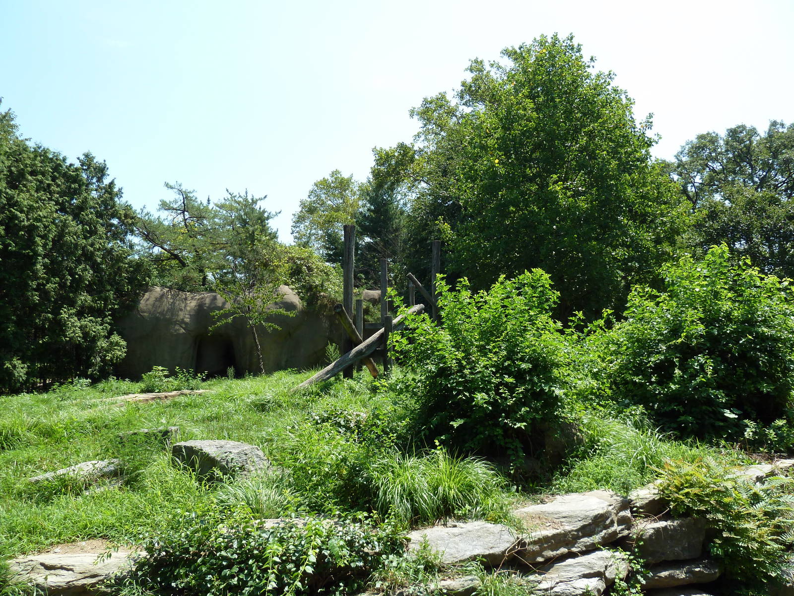 Bear Country - Sloth Bear Exhibit