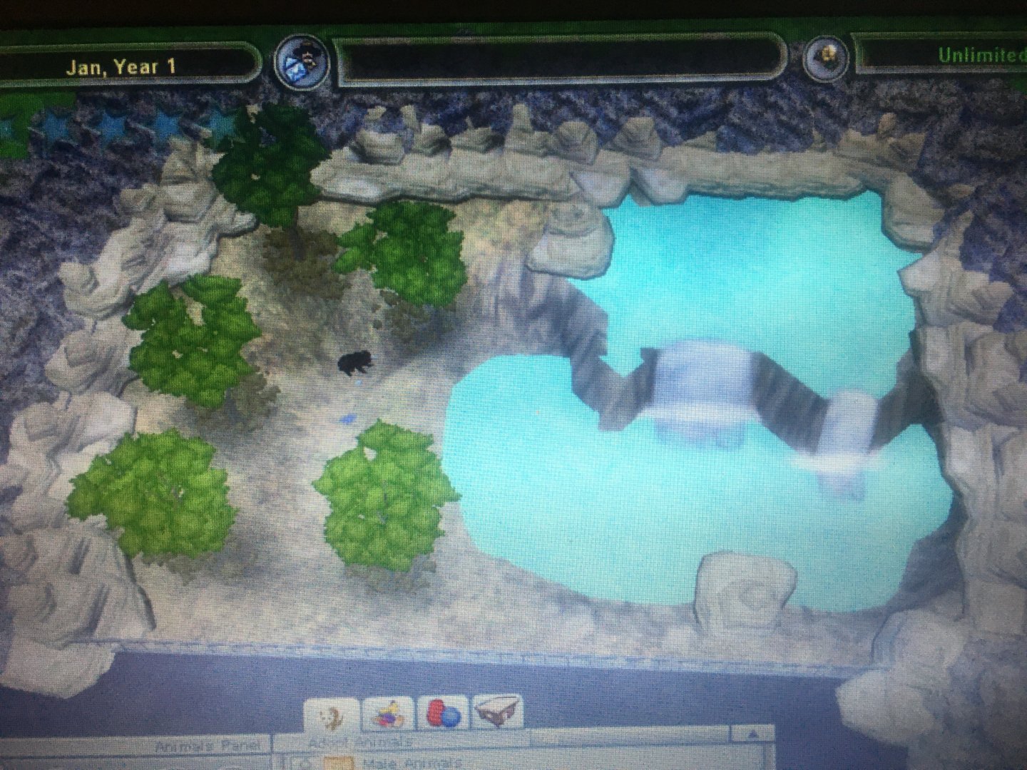 Bear Country - Sloth Bear Exhibit