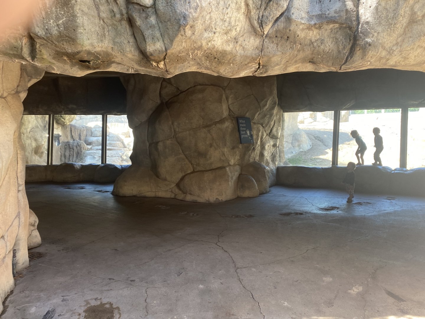 Bear Country - Underground Viewing of Alaskan Brown Bear Exhibit