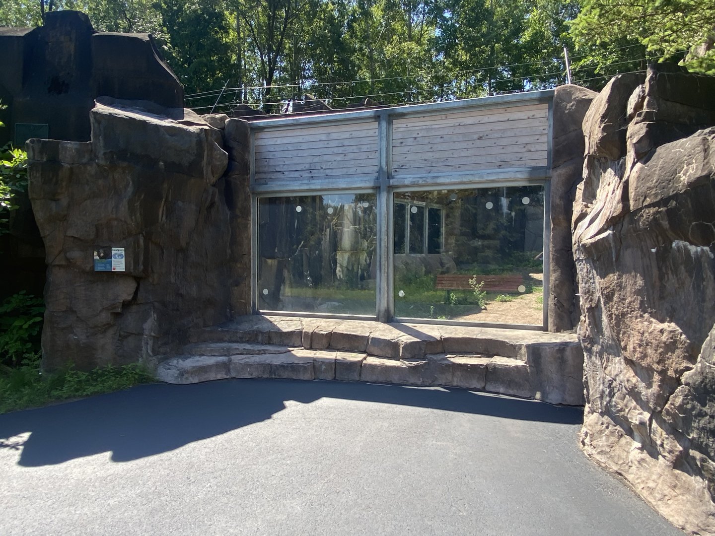 Bear County - Black Bear Viewing