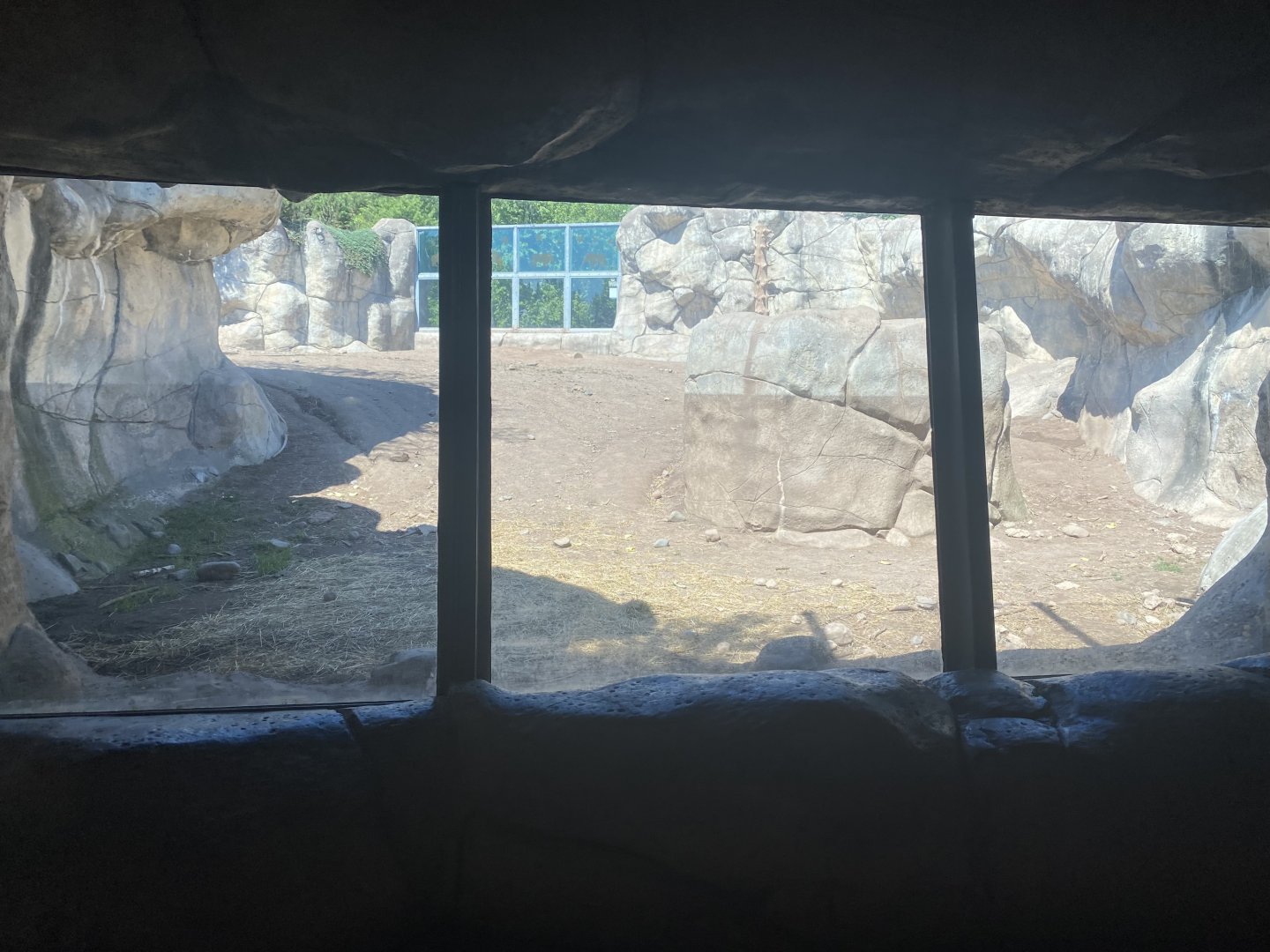 Bear County - Underground View of Alaskan Brown Bear Exhibit
