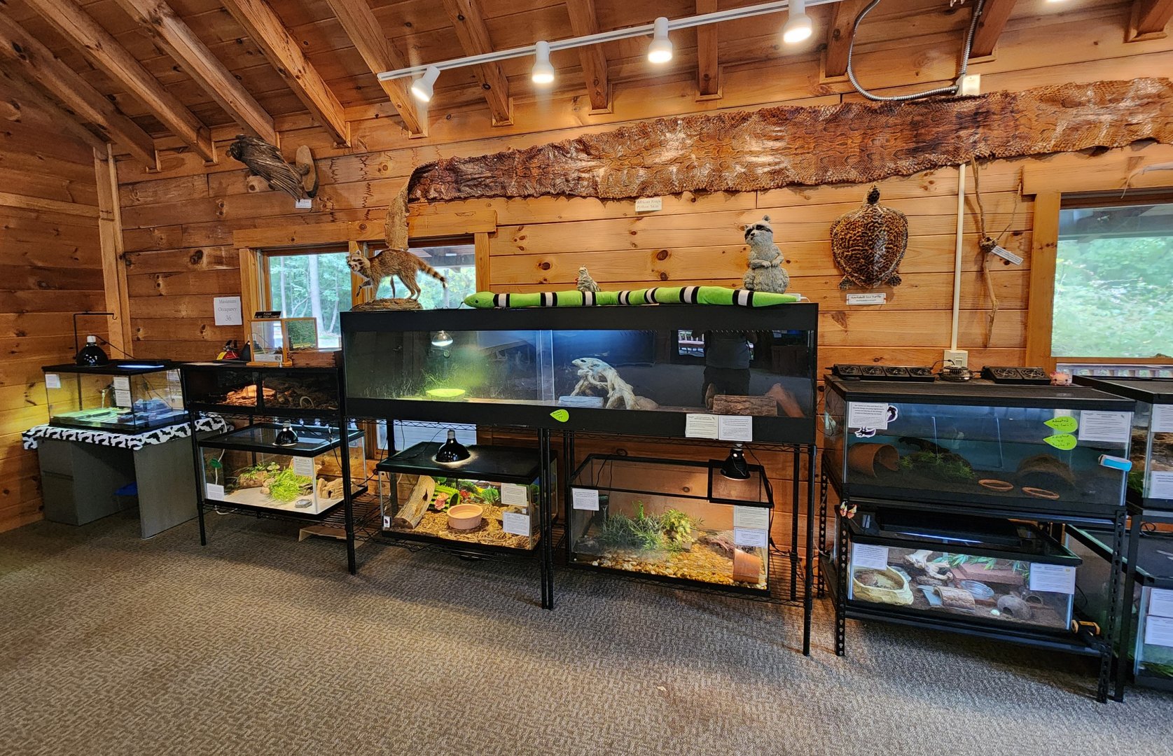 Bear Creek Nature Center (GA) -Exhibits