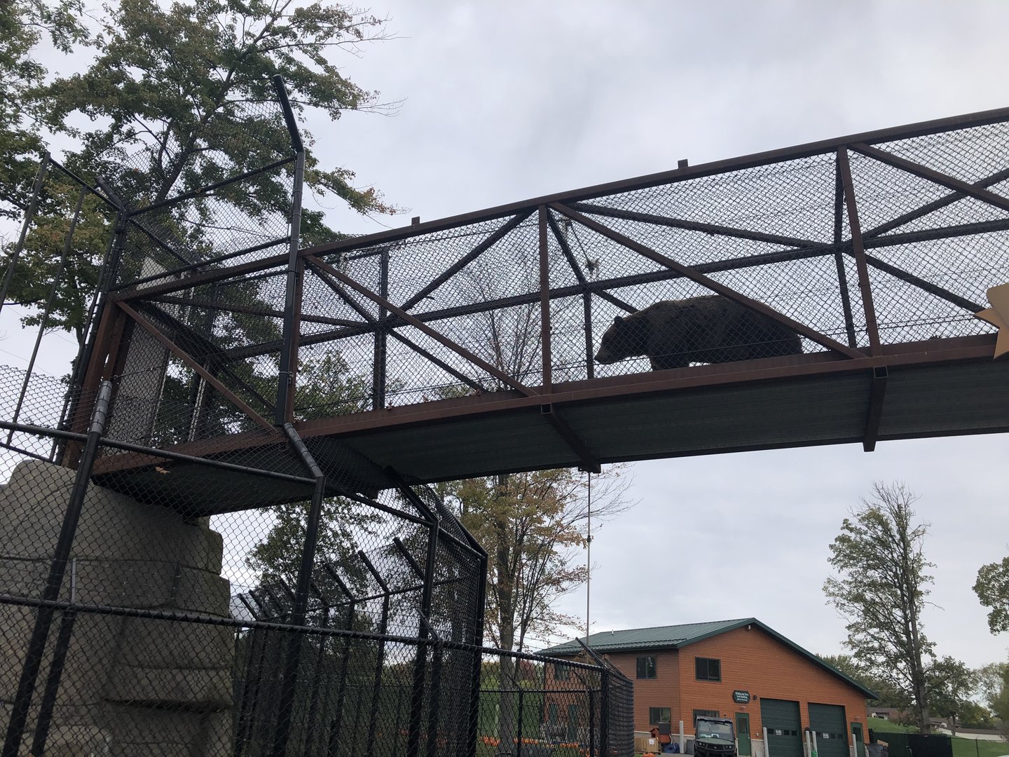 Bear Crossing Bridge