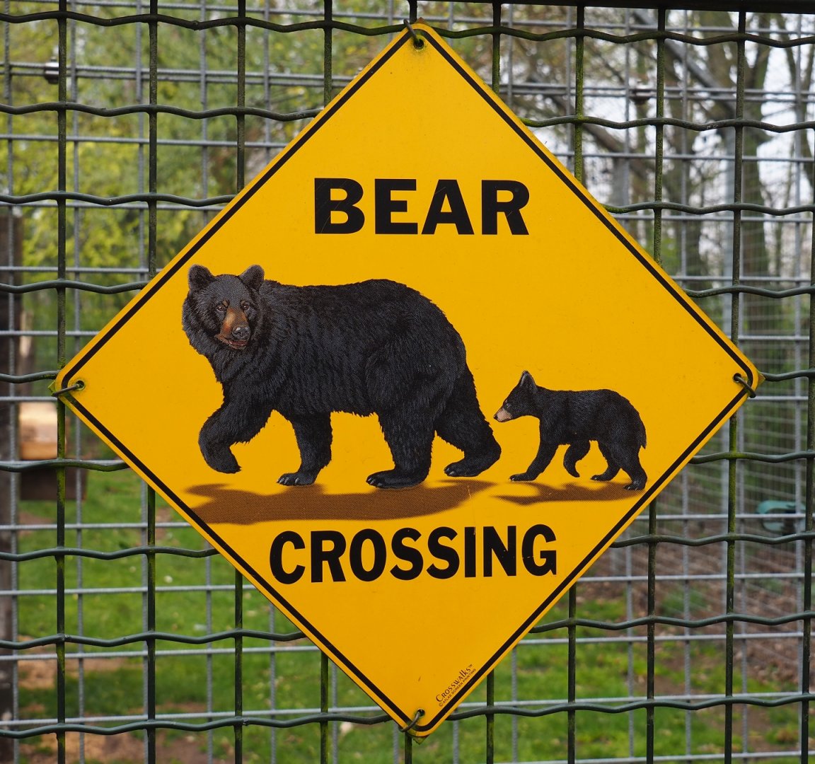 Bear crossing sign, 2019-04-06