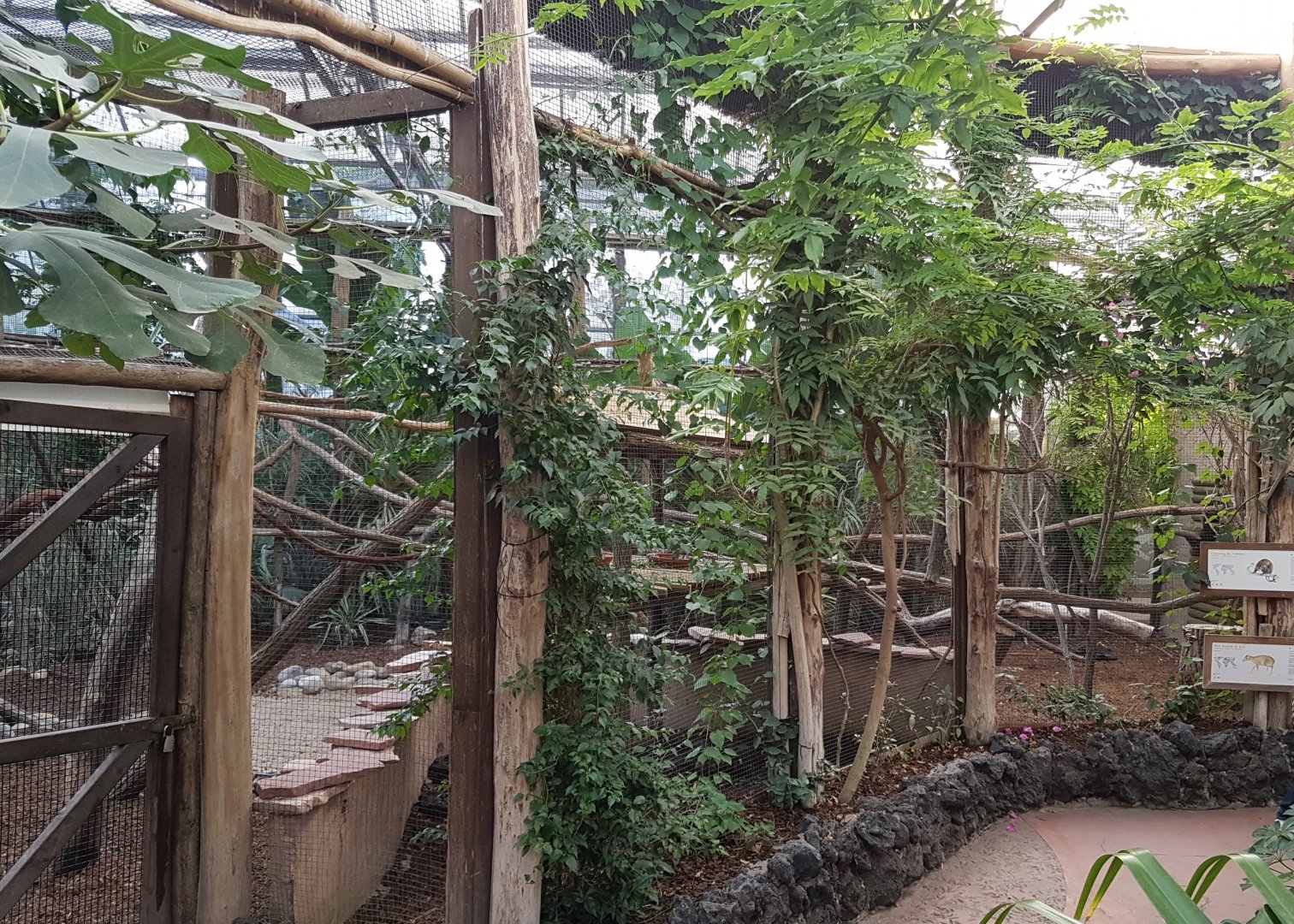 Bear cuscus and Mouse deer enclosure