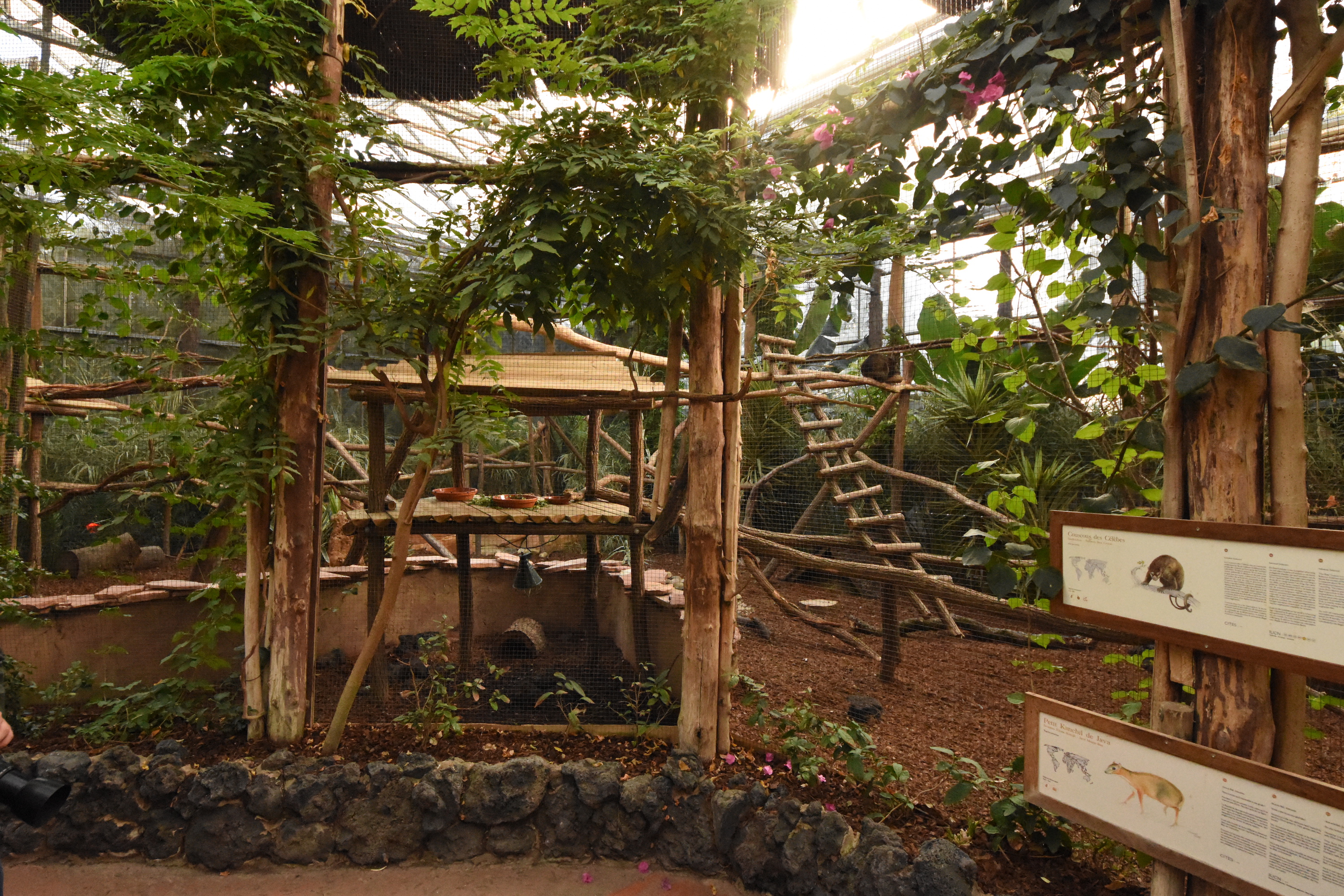 Bear cuscus enclosure