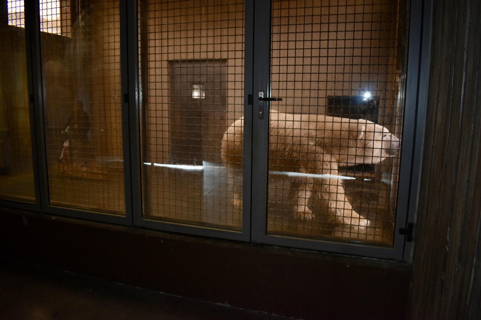 Bear Den - Rocky Shores