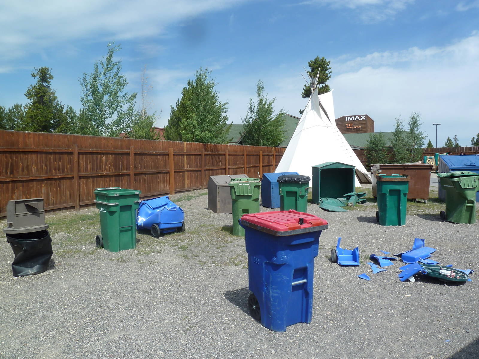 Bear Destroyed Garbage Cans