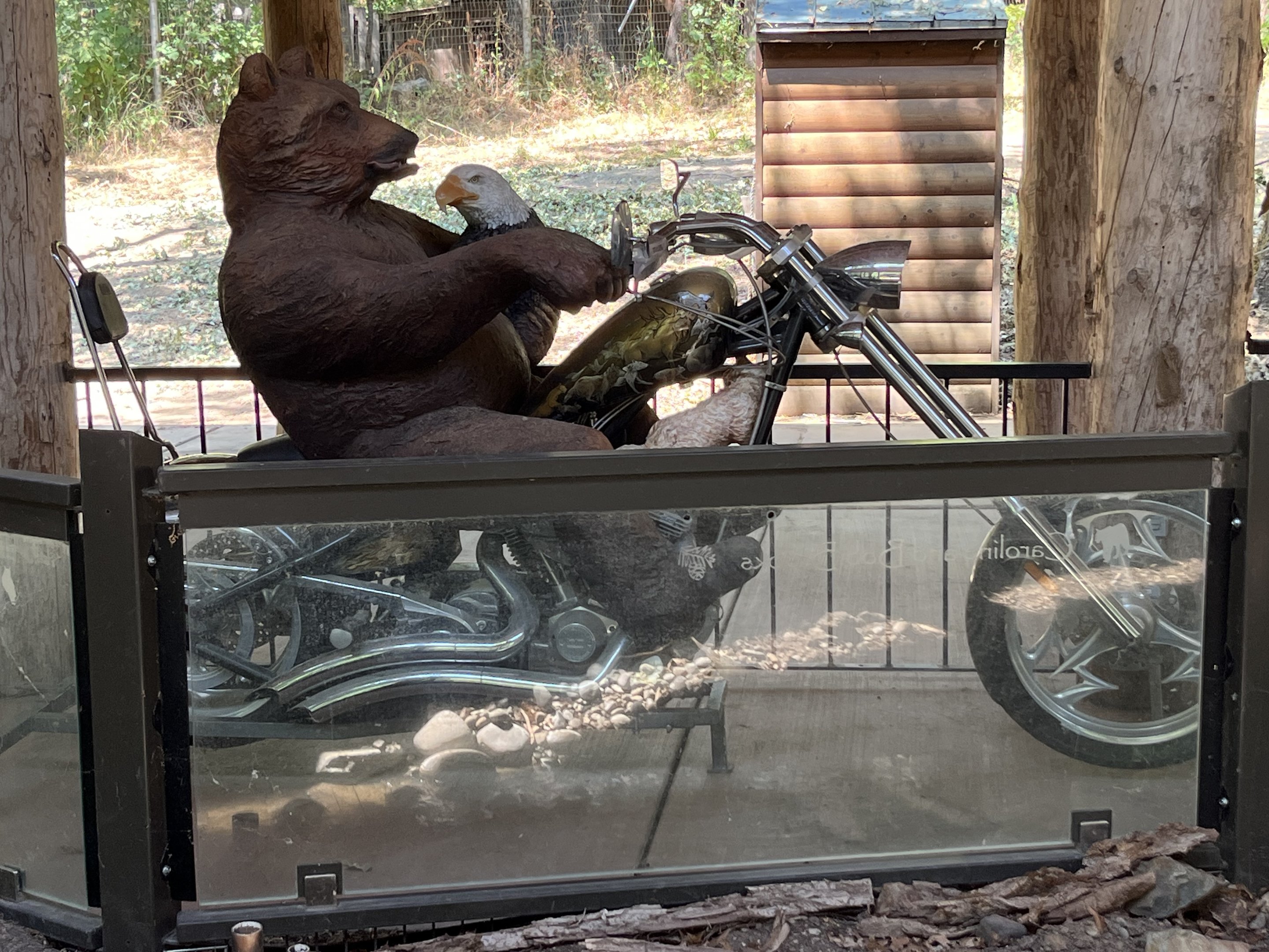 Bear + Eagle on Motorcycle