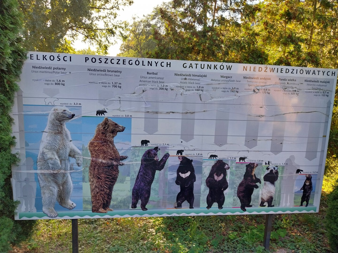 Bear Education