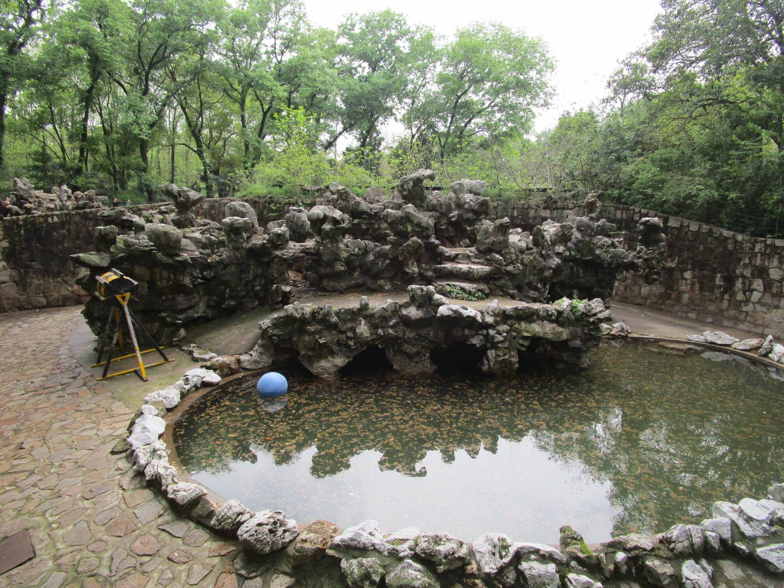 Bear Enclosure - 16/04/2016