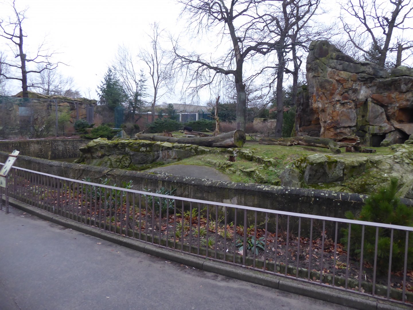 Bear enclosure 290118