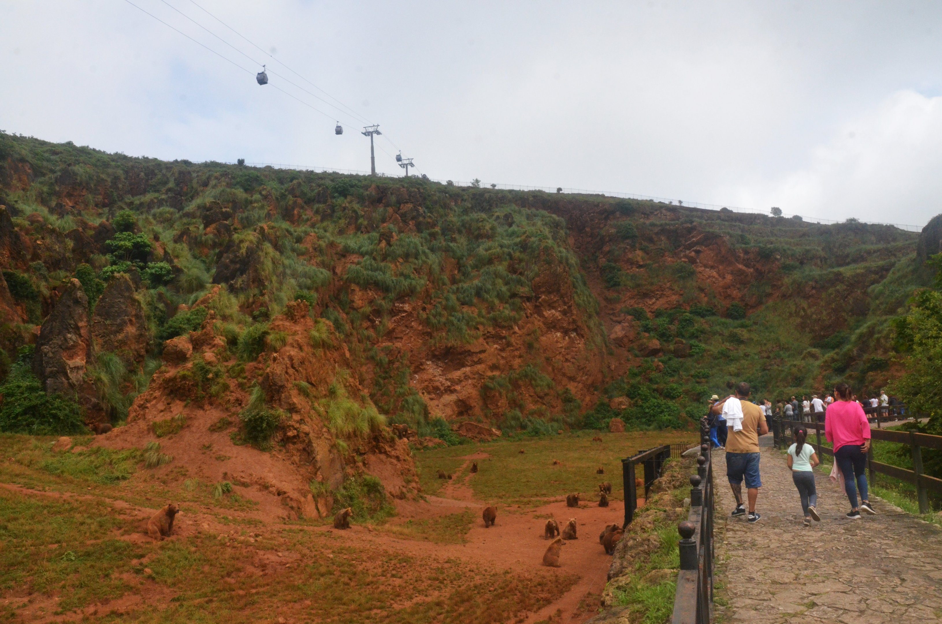 Bear Enclosure at Cabarceno, 08/07/17
