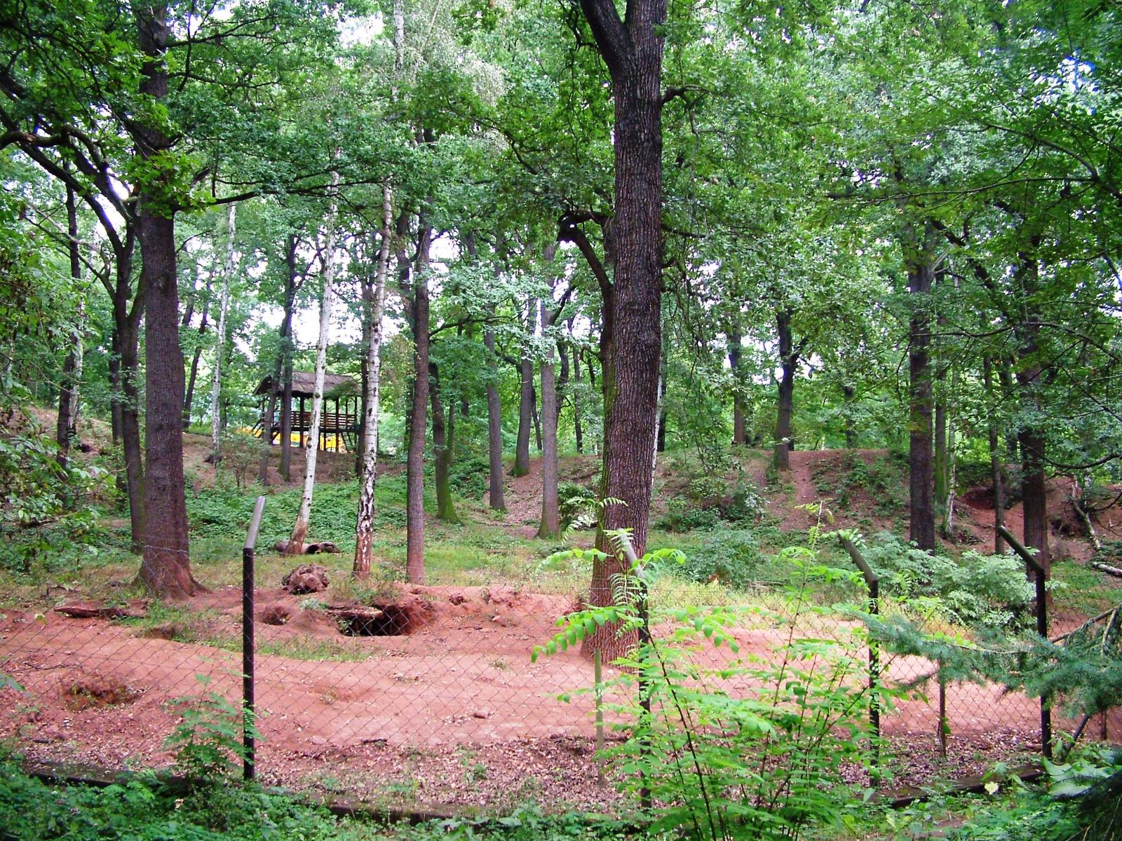 Bear Enclosure at Chomutov, 30/08/12
