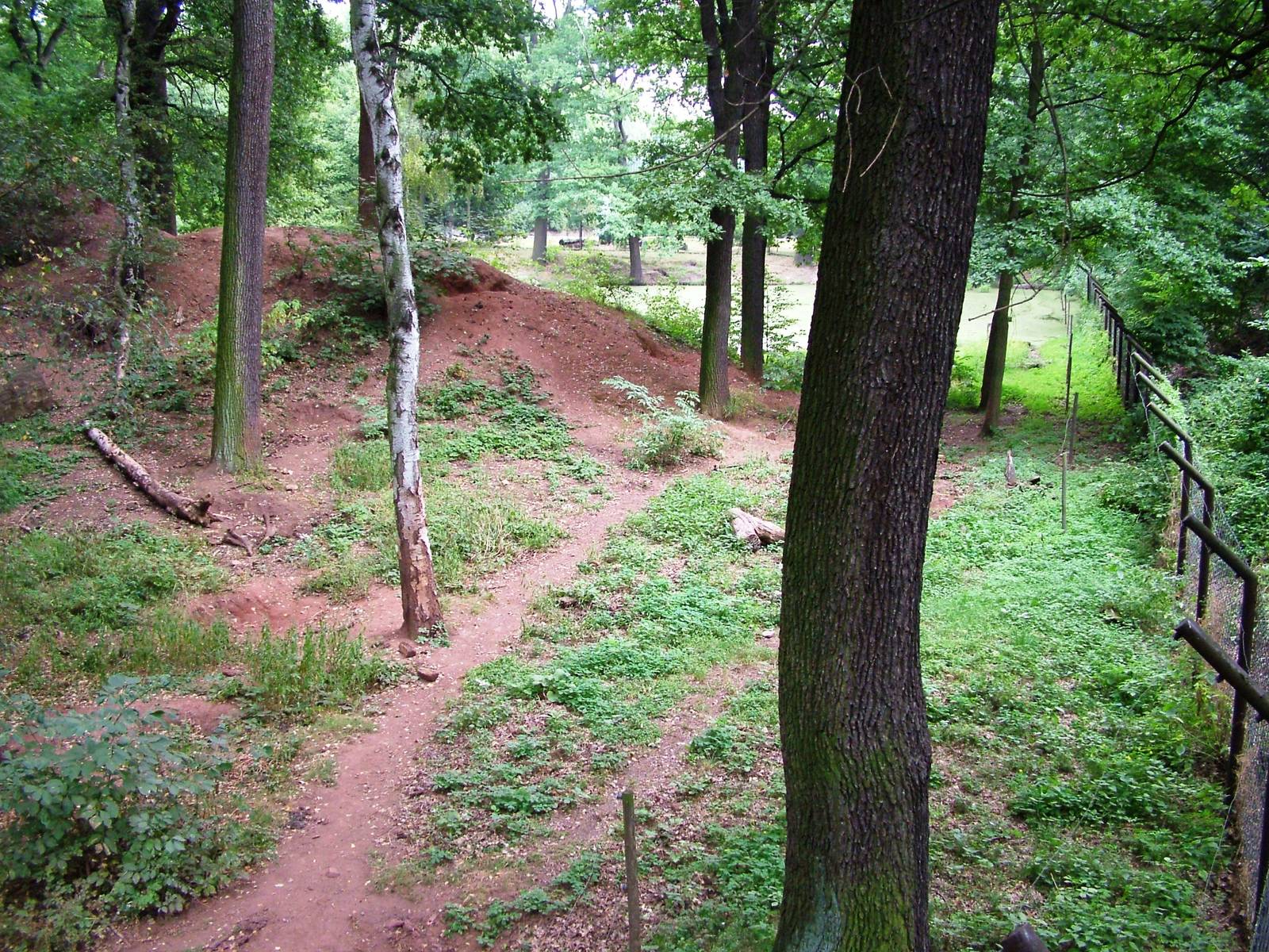 Bear Enclosure at Chomutov, 30/08/12