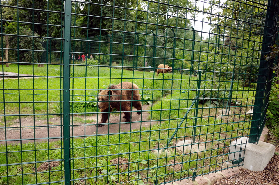 Bear enclosure at Dessau