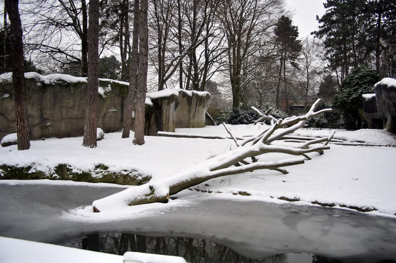 Bear enclosure at Hagenbeck