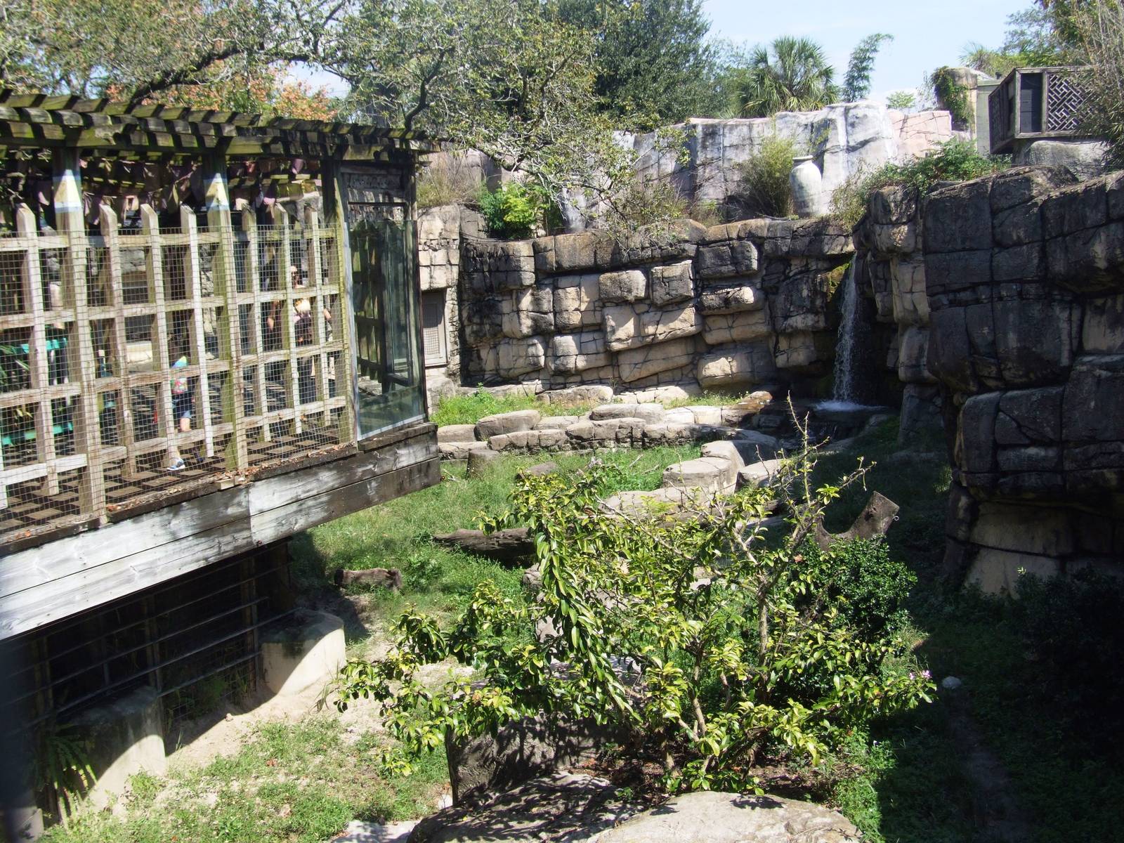 Bear Enclosure at Lowry Park, 13/10/13