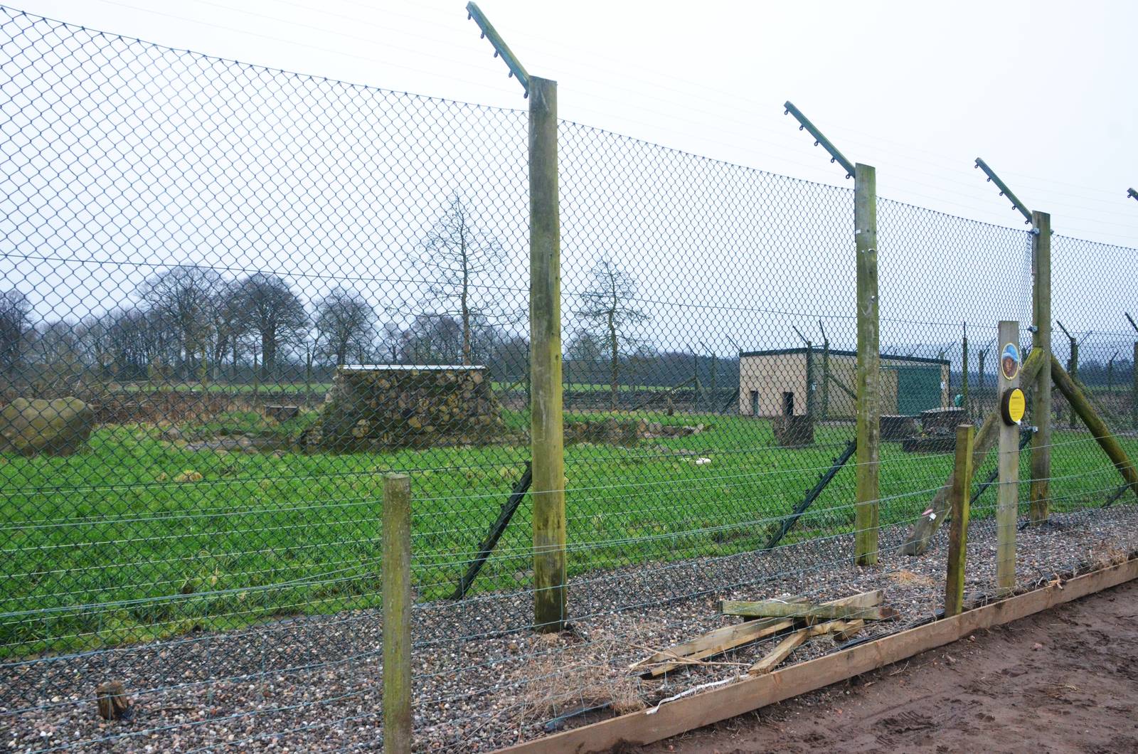 Bear Enclosure at the Scottish Deer Centre, 06/02/16