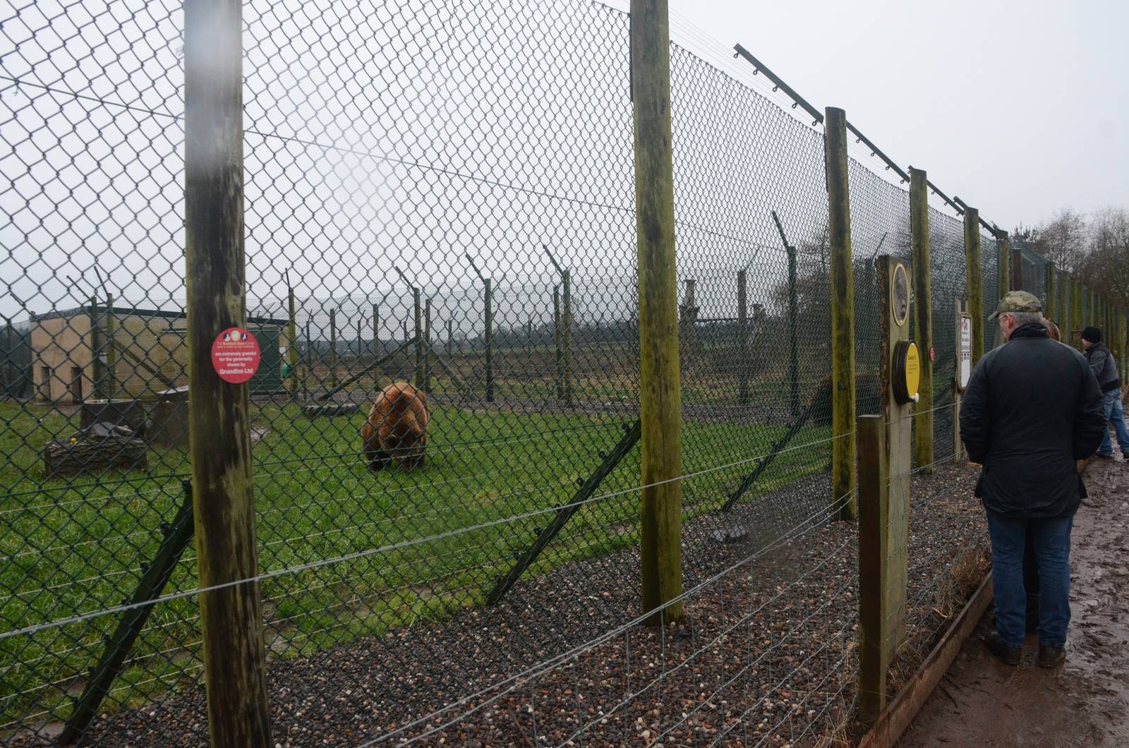 Bear Enclosure at the Scottish Deer Centre, 06/02/16