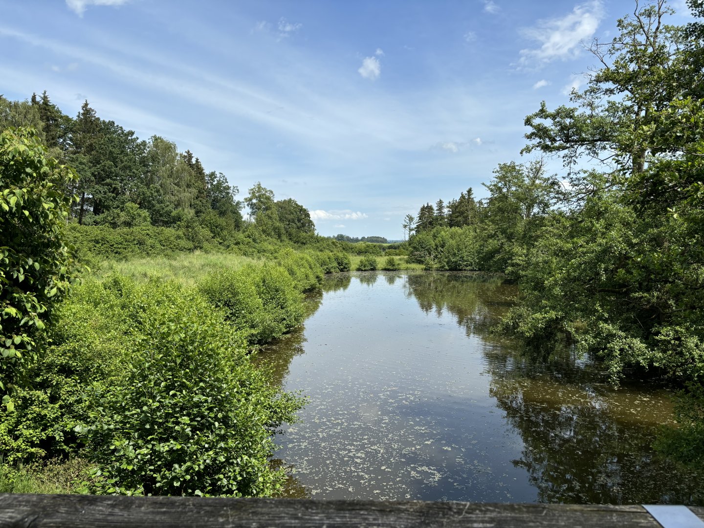 Bear Enclosure at Wildpark Poing