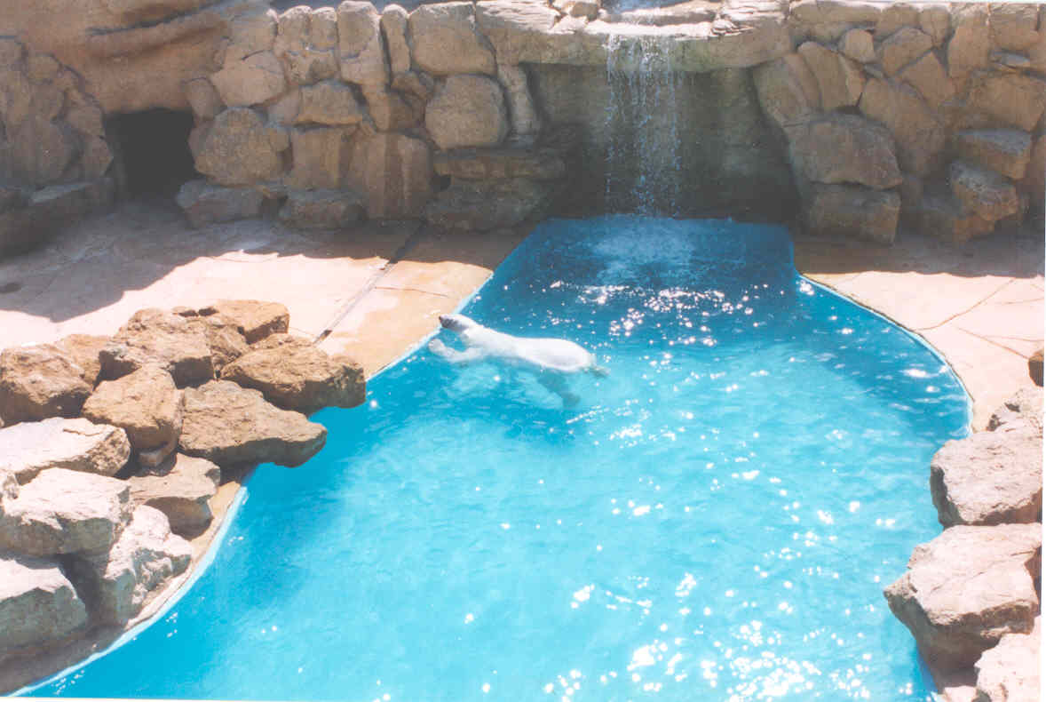 Bear Enclosure - Heythrop 2003