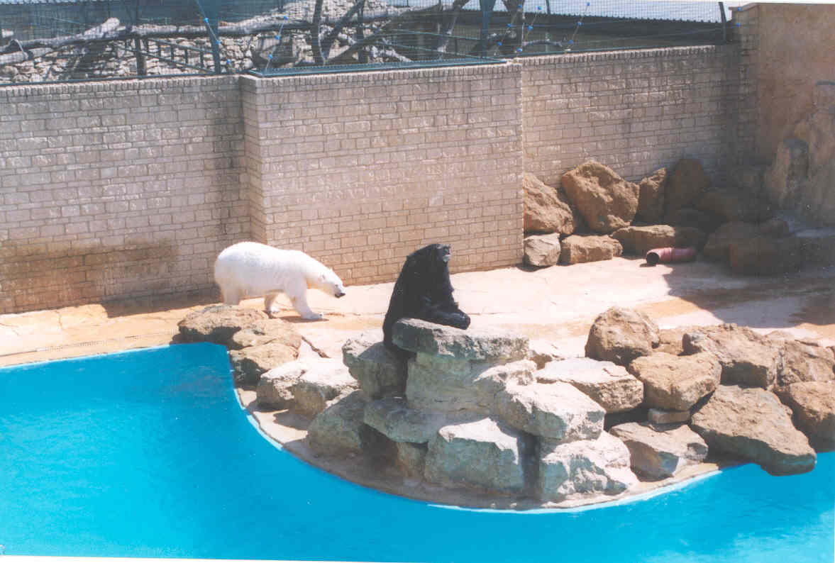 Bear Enclosure - Heythrop 2003