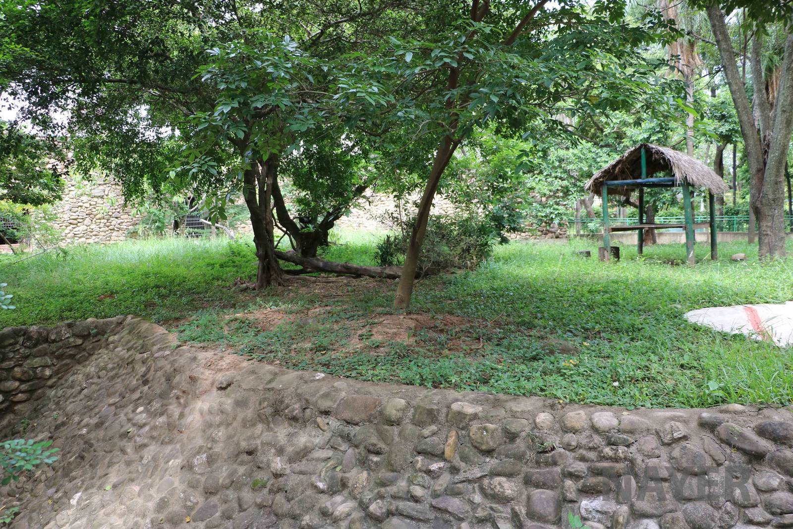 Bear enclosure, March 2016