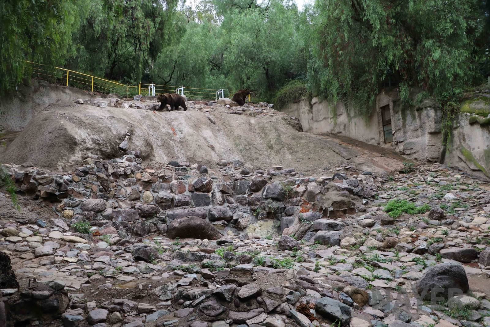 Bear enclosure - Mendoza Zoo, April 2016