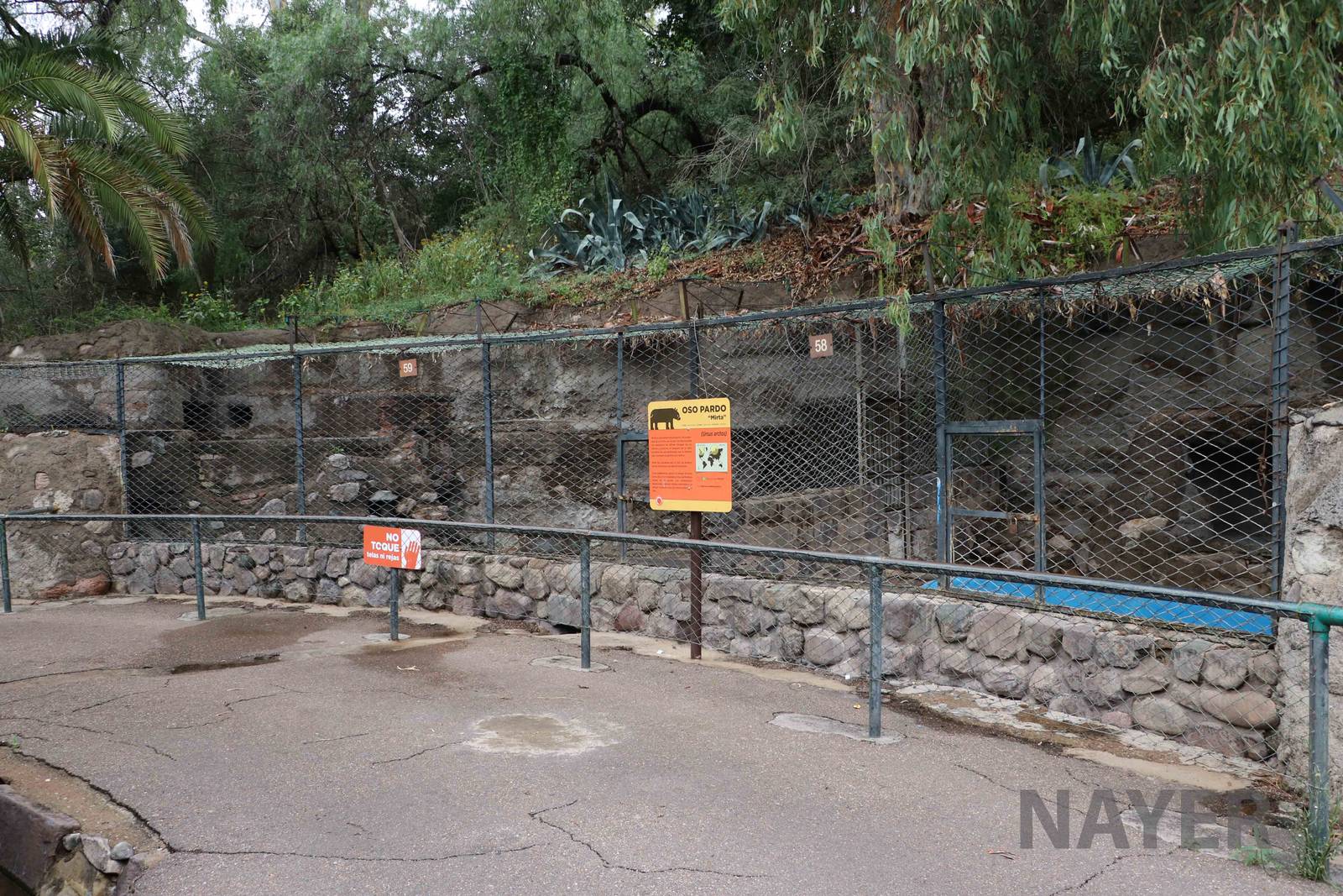 Bear enclosure - Mendoza Zoo, April 2016
