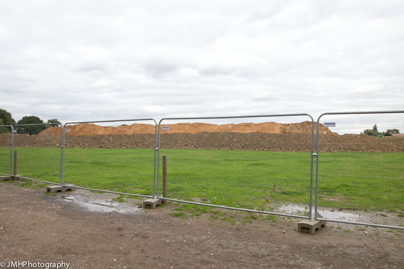 Bear enclosure - progress so far!