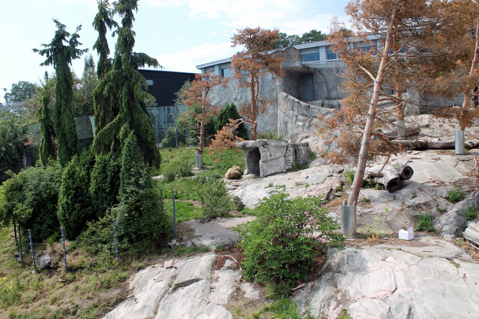 Bear Enclosure - Right