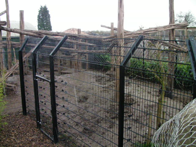 Bear enclosure, RSCC, Kent