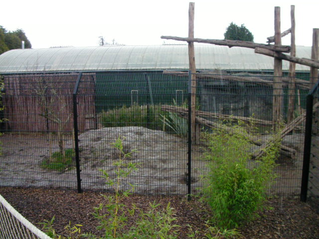 Bear enclosure, RSCC, Kent