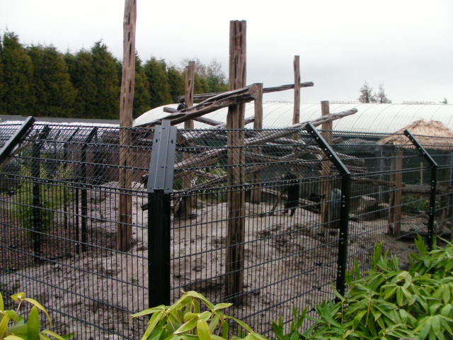 Bear enclosure, RSCC