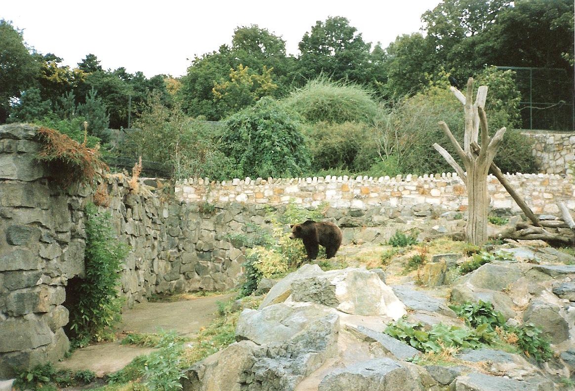 Bear Enclosure September 1991