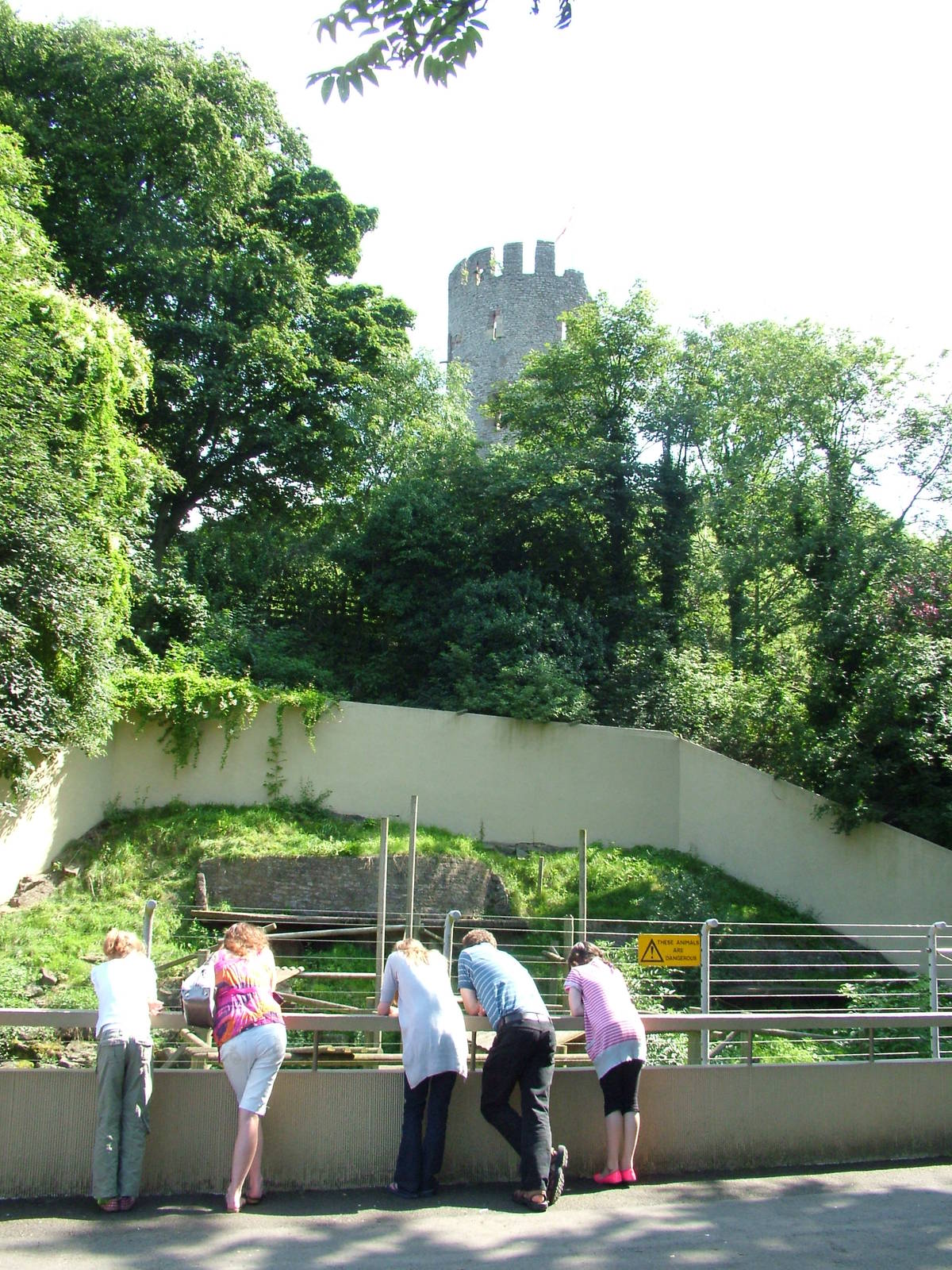 Bear enclosure with Castle at Dudley 09/08/09