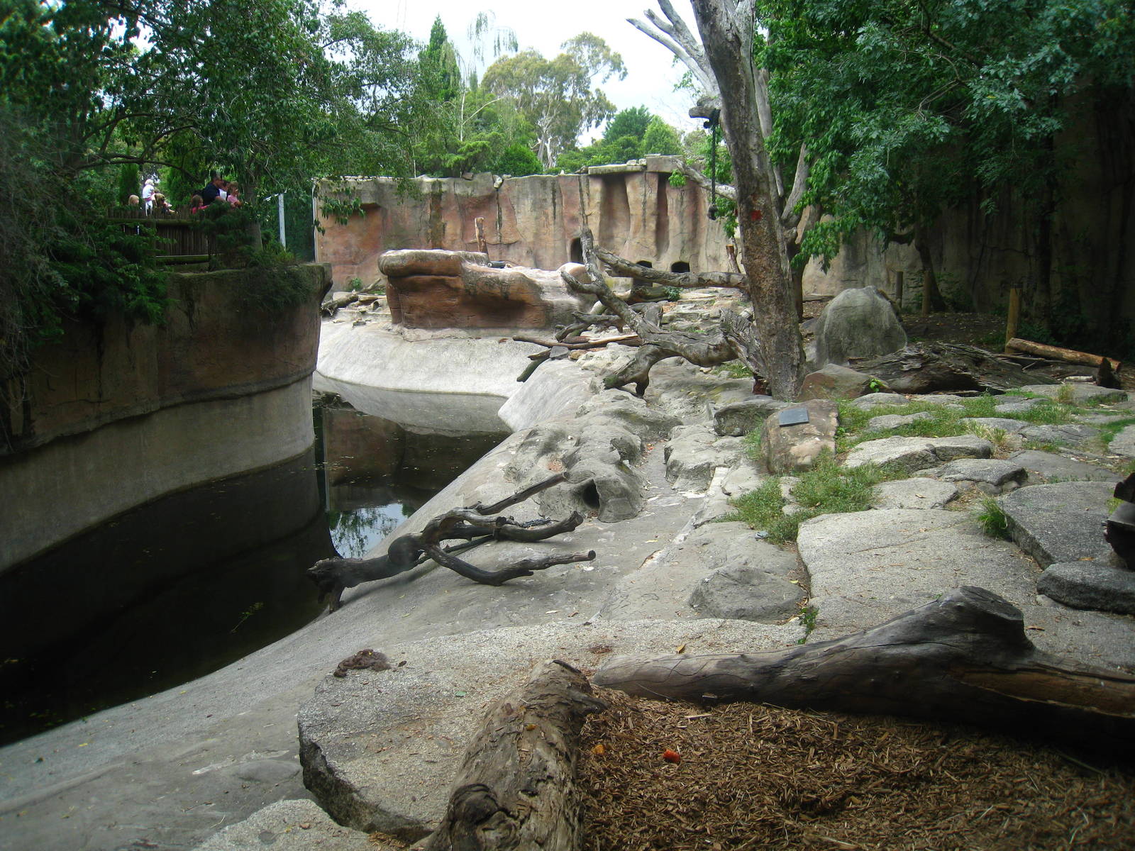 Bear enclosure