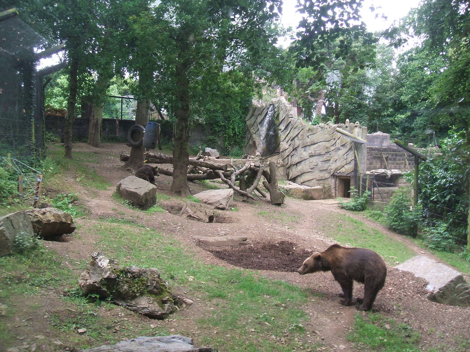 Bear Enclosure