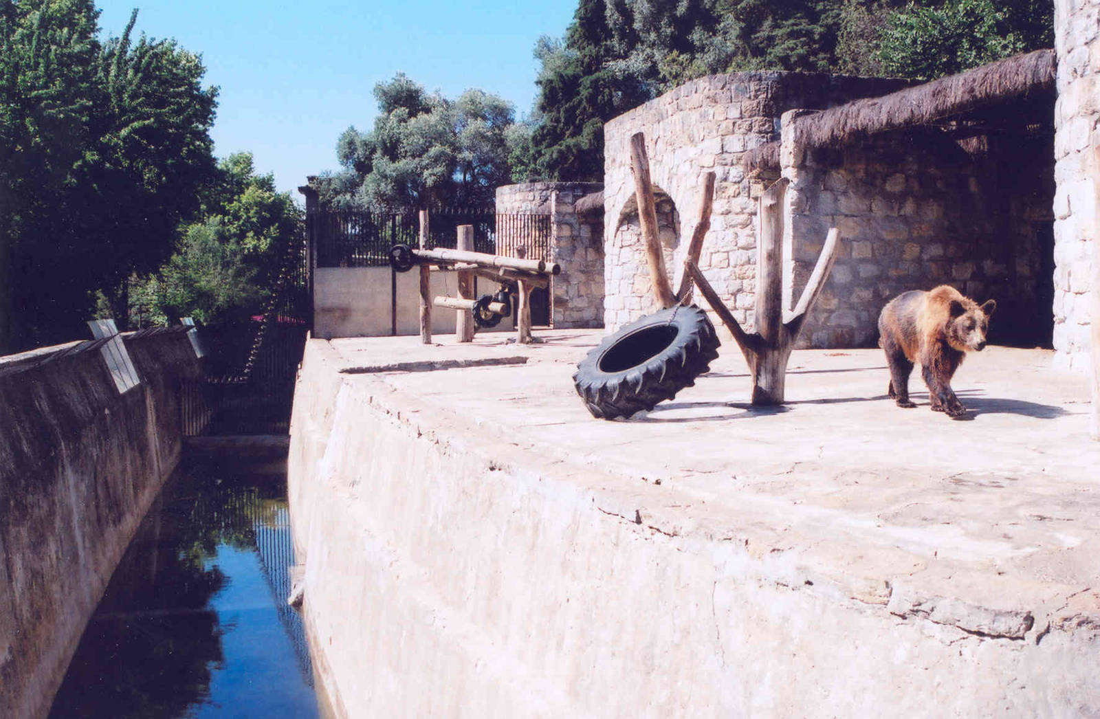 Bear Enclosures - Lisbon Zoo 2005