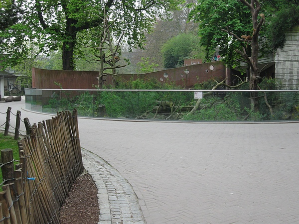 Bear exhibit Antwerp Zoo