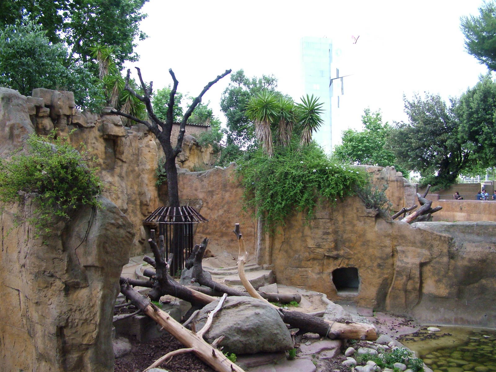 Bear Exhibit at Barcelona, 30/05/11