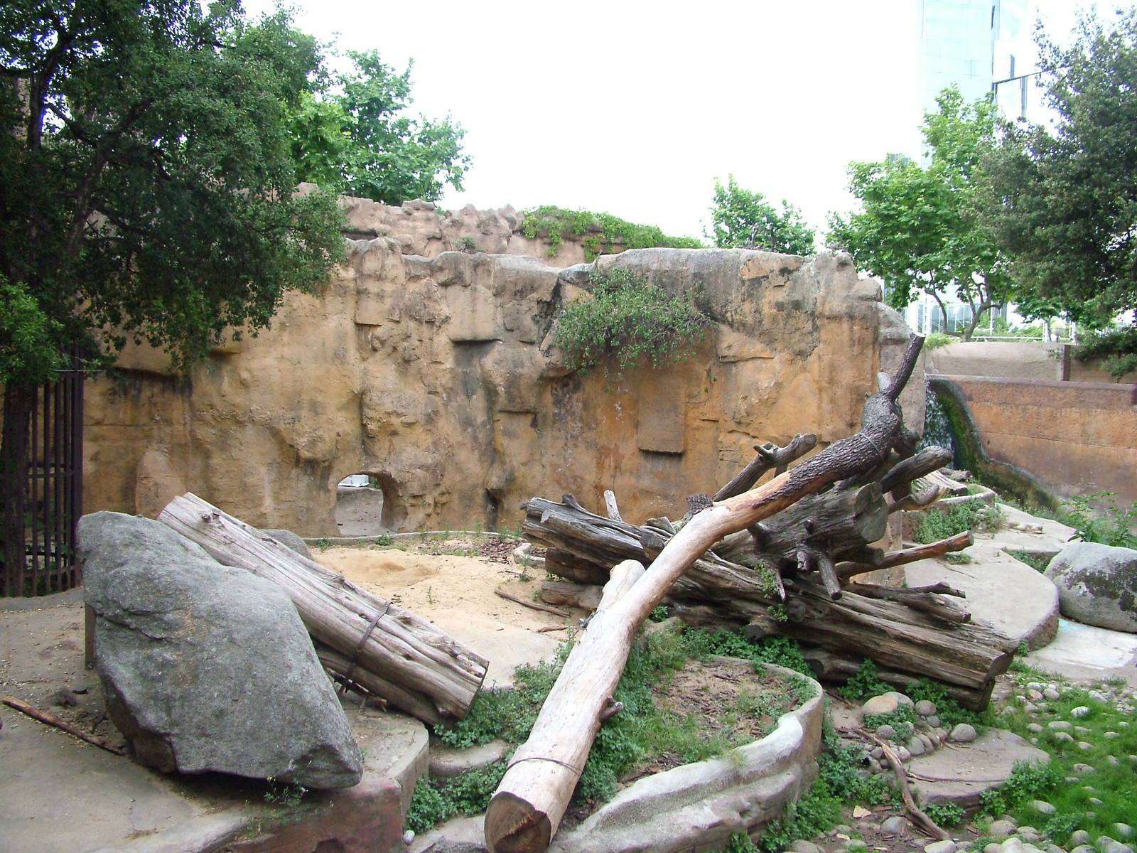 Bear Exhibit at Barcelona, 30/05/11