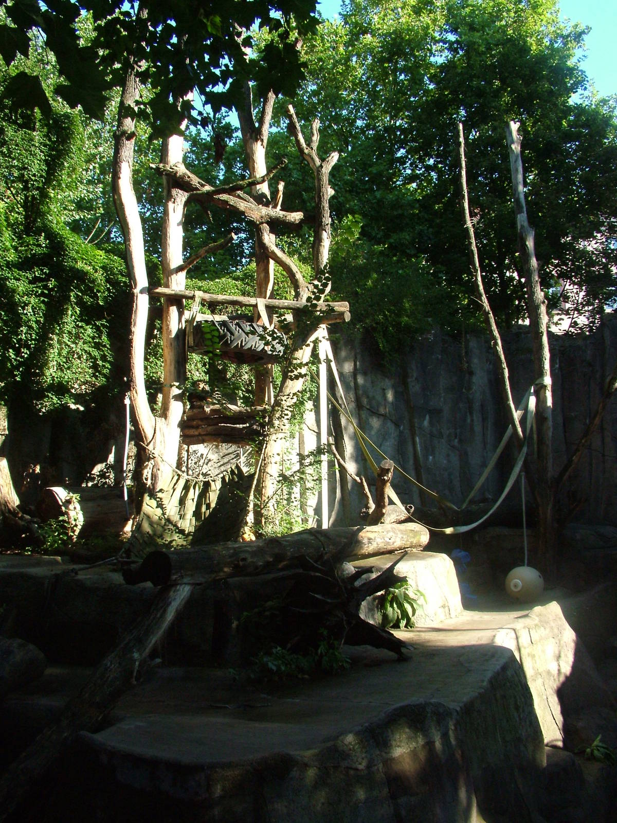 Bear Exhibit at Frankfurt 31/08/10