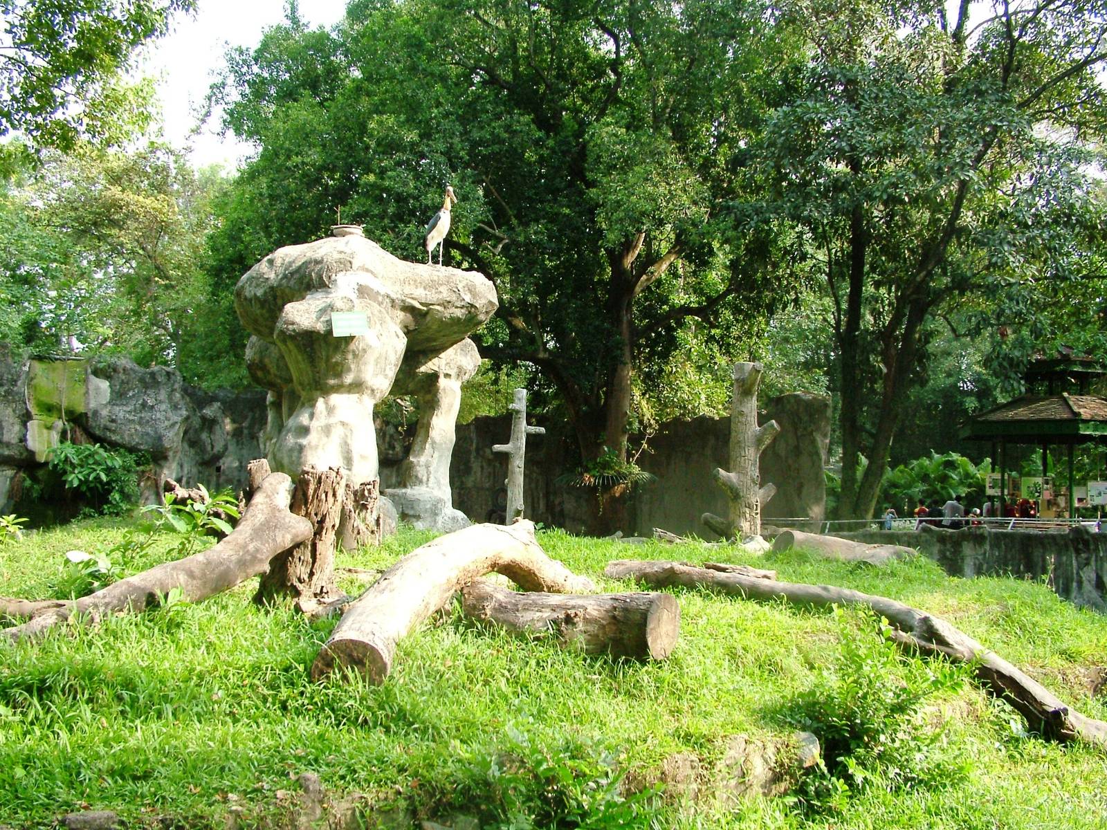 Bear Exhibit at Saigon Zoo, 16/03/12