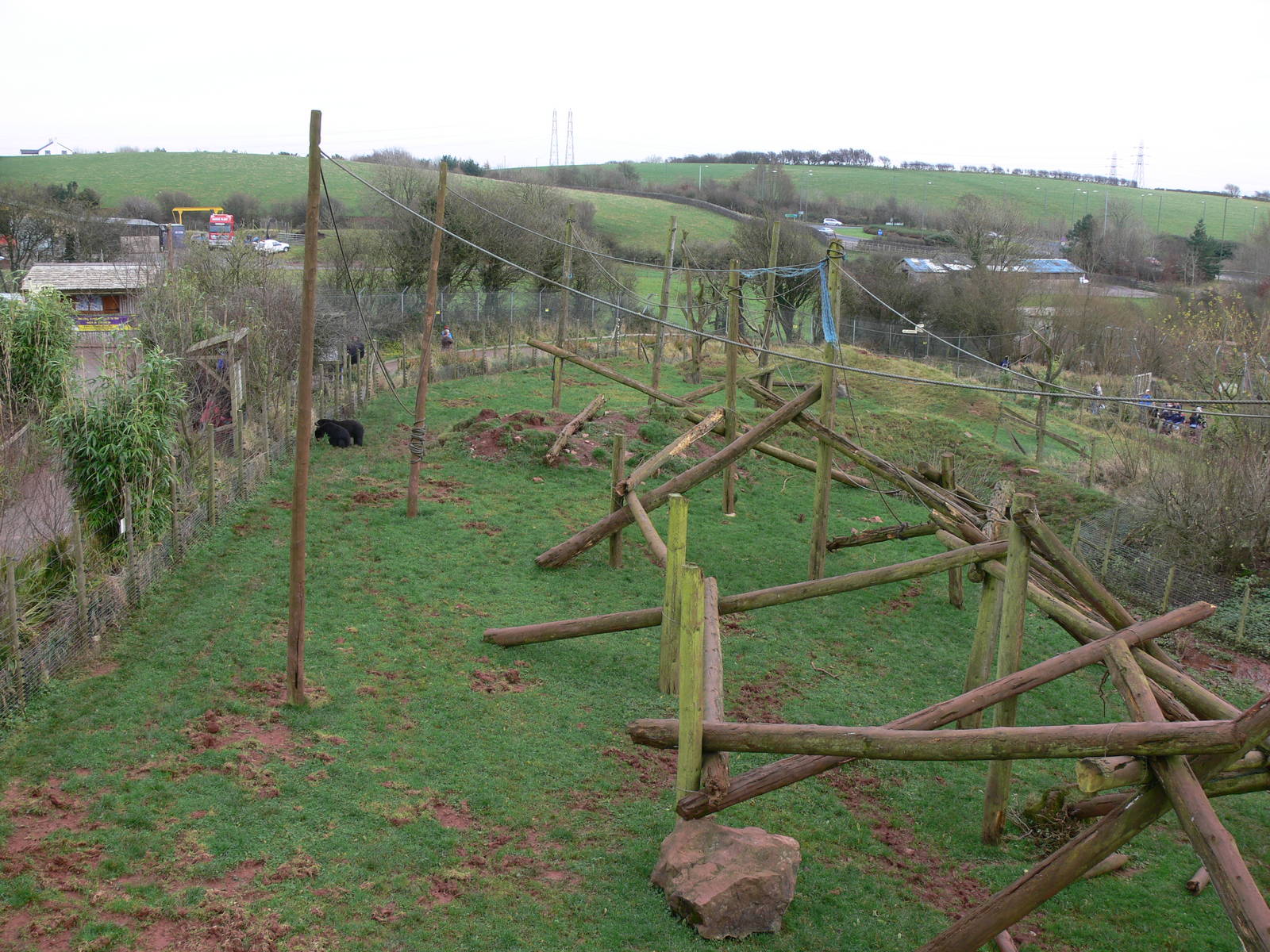 Bear exhibit at South Lakes WAP 24/11/12