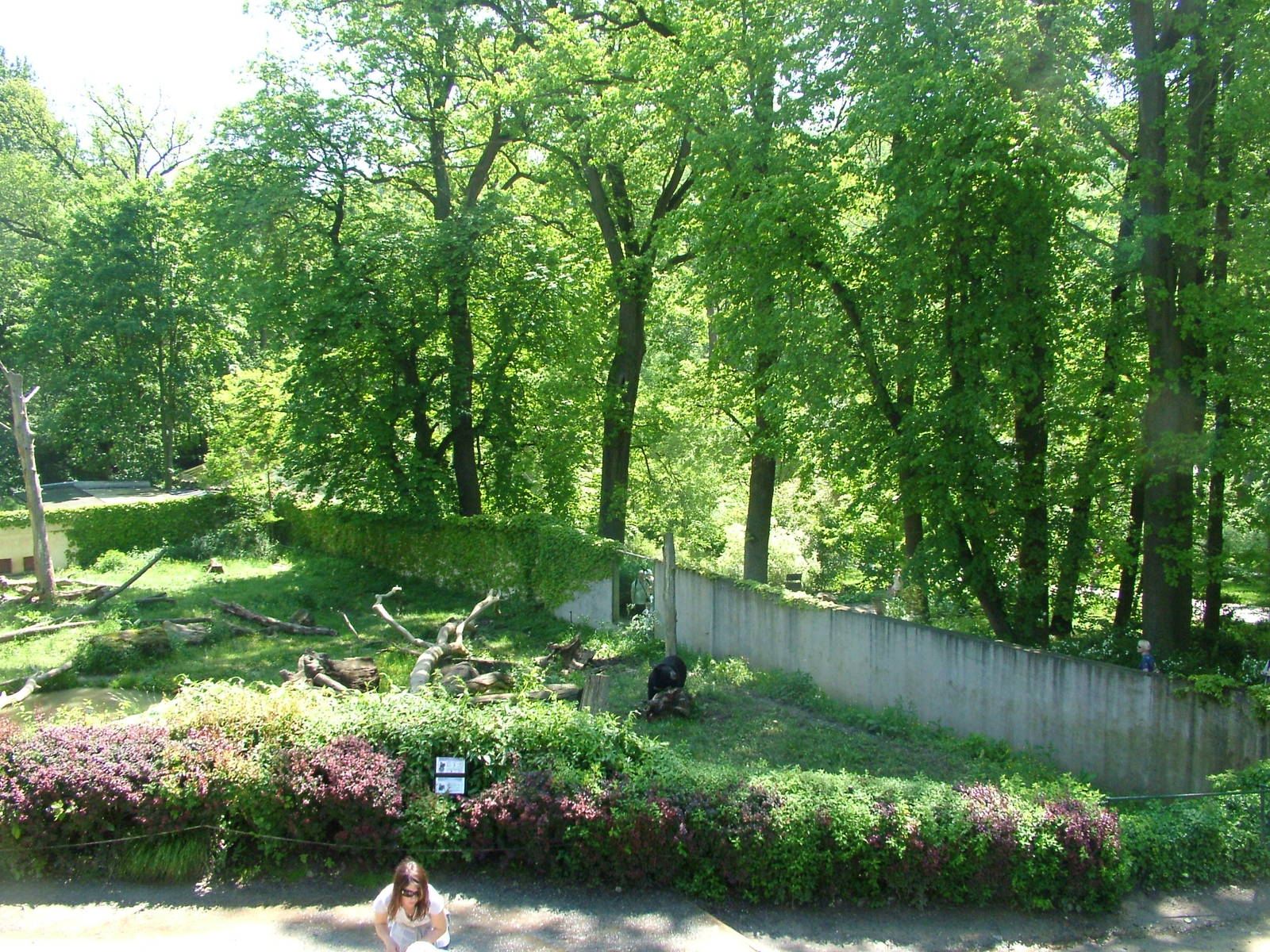 Bear exhibit at Zlin, 28/05/10