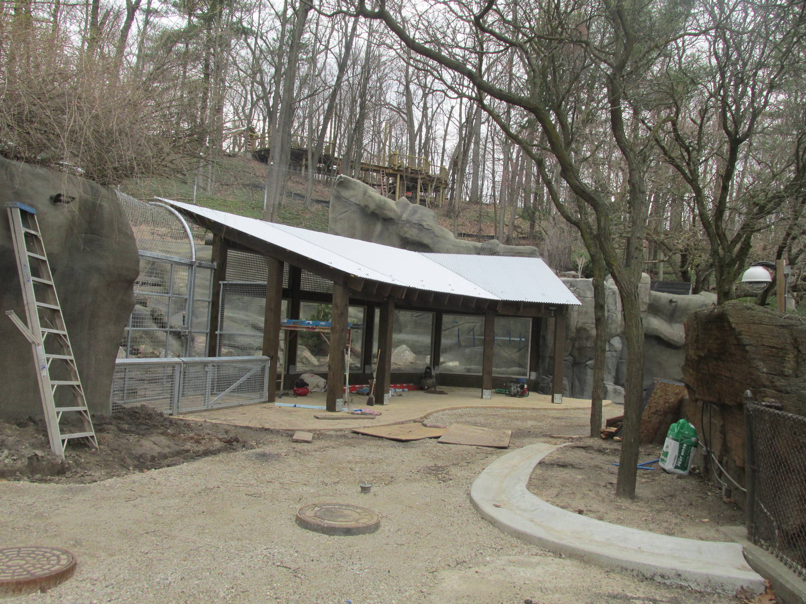 Bear Exhibit Construction