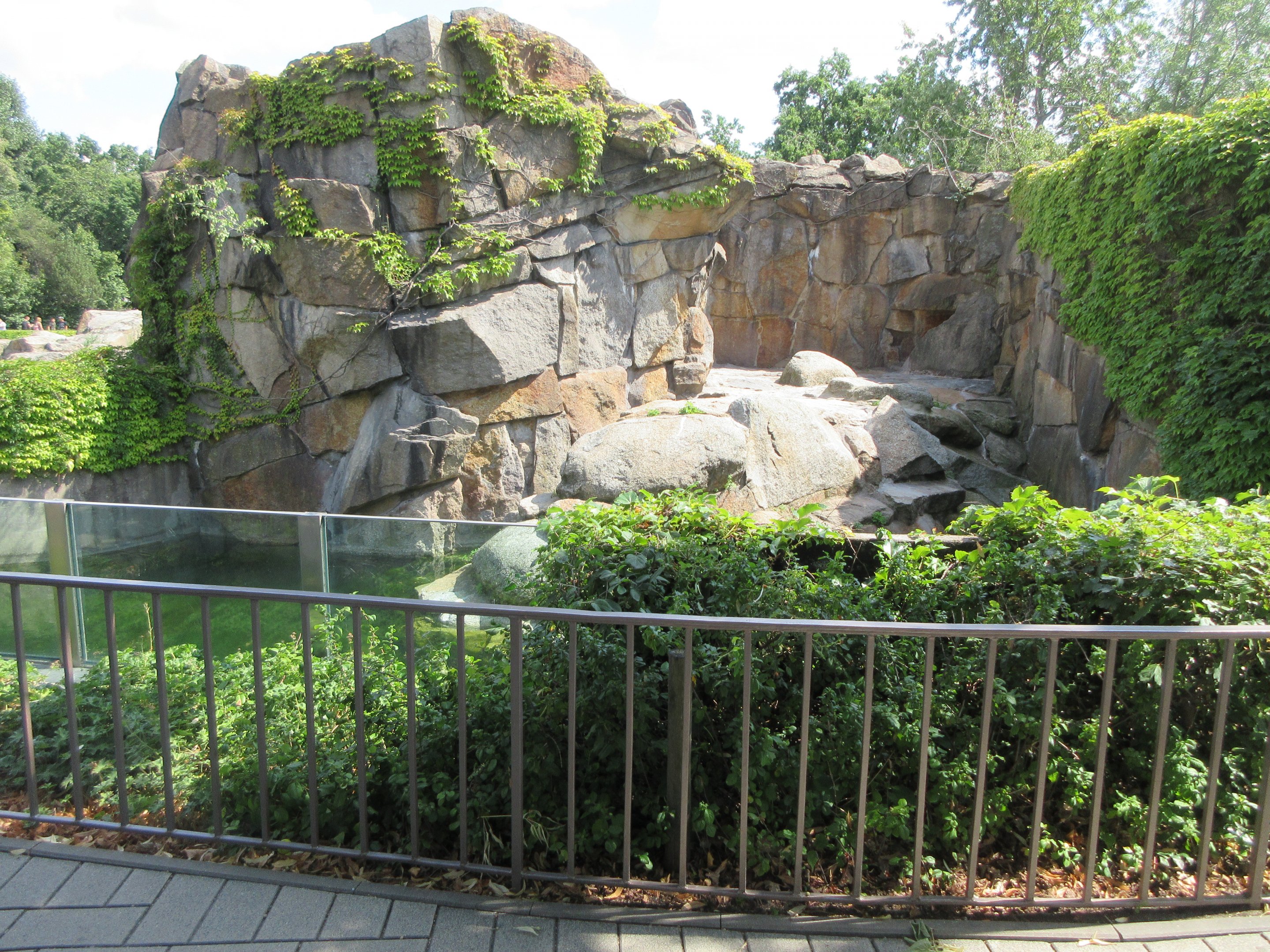 Bear Exhibit - empty?